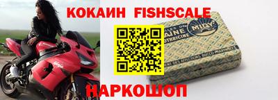индика Можга
