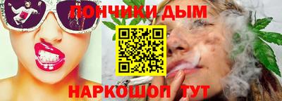 индика Можга