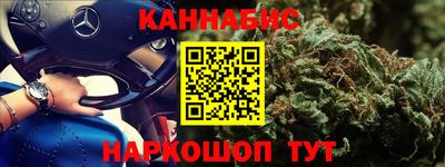 индика Можга