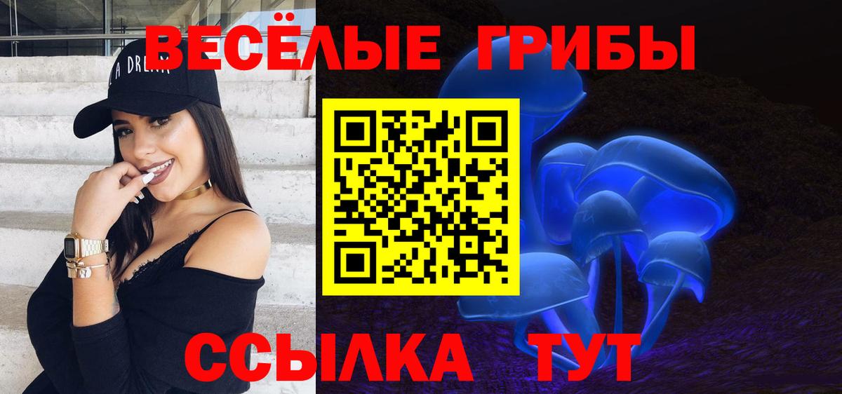 Скопин  Галлюциногенные грибы Psilocybine cubensis  Вход с VPN 